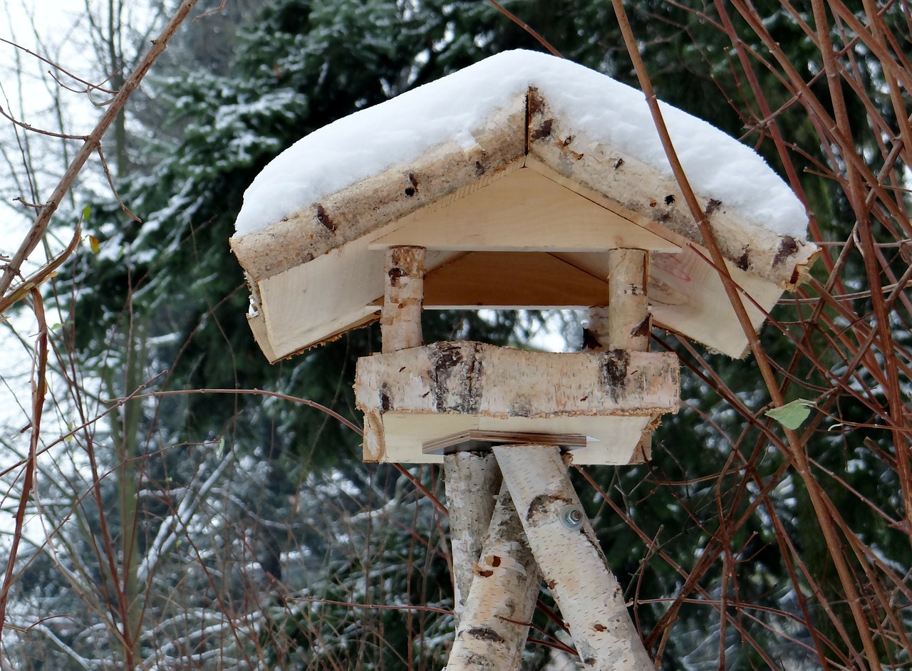 Vogelhaus in Flensuburg kaufen